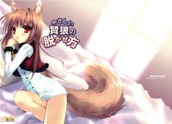 Free Hentai Doujinshi Gallery: (C75) [Chimaroni? (Chimaro)] Yasashii Kenrou no Nugasekata (Spice and Wolf)
