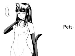 Free Hentai Doujinshi Gallery: [Zenra  QQ] Pets-