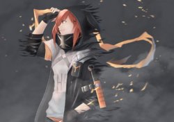 Arknights Character Fan Art Gallery - Crownslayer