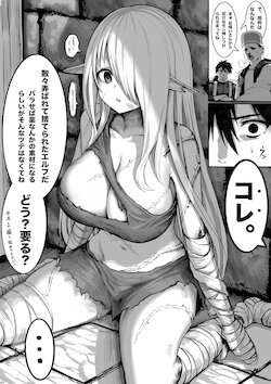 [Gibachan] Boroboro no Elf-san o Shiawase ni Suru Kusuri Uri-san [Ongoing]