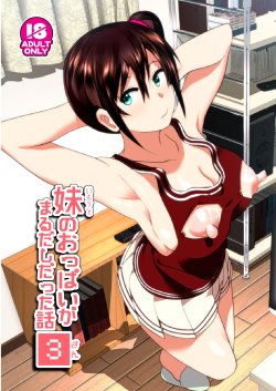 Free Hentai Doujinshi Gallery: [Supe (Nakani)] Imouto no Oppai ga Marudashi Datta Hanashi 3 [Digital]