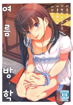 (C88) [Ranshi to Kimi to. (santa)] Natsuyasumi (Amagami) [Korean]