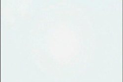 Free Hentai Image Set Gallery: Newmanoid Cam hentai