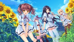 Free Hentai Game CG Set Gallery: [Moonstone] Natsu no Iro no Nostalgia