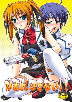 (C75) [Tsukune-ya (Kakitsubata Tsukune)] Gaman Dekinai!! (Mahou Shoujo Lyrical Nanoha StrikerS) [English] [Camiela]