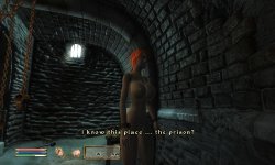 Free Hentai Misc Gallery: Oblivion: Blue Eyed Darkelf Chronicles