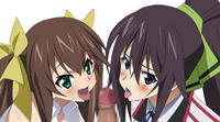 Free Hentai Artist CG Set Gallery: [Mokke] Ore TYPE (Infinite Stratos)