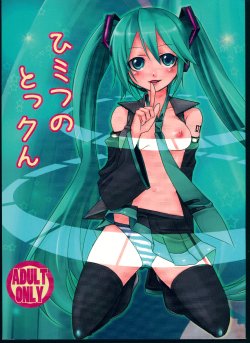 Free Hentai Doujinshi Gallery: (C74) [Uraroji (Umisato Michiyu)] Himitsu no Tokkun (VOCALOID)