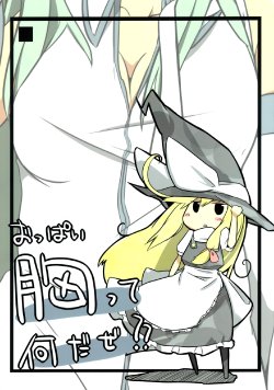 Free Hentai Non-H Gallery: (Reitaisai 7) [Potato (Shoukei Inori)] What's Breasts (Boobs)?? (Touhou Project) [English] {Gaku Gaku Animal Land}