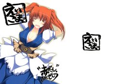 Free Hentai Non-H Gallery: (Reitaisai 5) [Akadashi. (moto)] EiKoma. (Touhou Project)