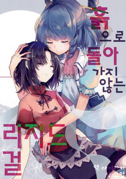 (Reitaisai 14) [Tonikaku Magaru (Tare)] Tsuchi ni Kaeranu Rigid Girl | 흙으로 돌아 가지 않는 리지드 걸 (Touhou Project) [Korean] [아키라카]