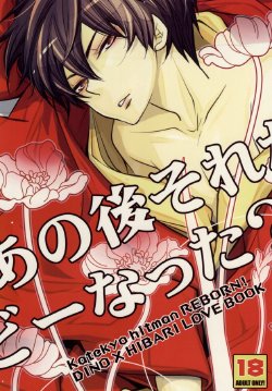 (C74) [Banyu (Aoi Levin)] Anoato Sorekara Dounatta? (Katekyo Hitman REBORN!)