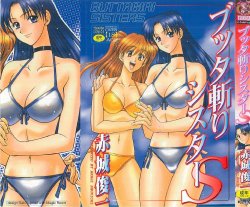 [Akagi Shunichi] Buttagiri Sister S