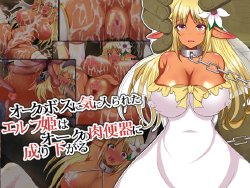 Free Hentai Artist CG Set Gallery: [Ark Nantoka] Orc no Boss ni Kiniirareta Elf Hime wa Nikubenki ni Narisagaru