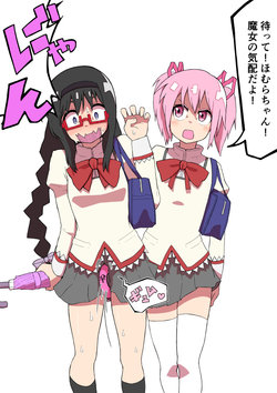 [SALPIn02] MadoMagi 4-koma Matome (Puella Magi Madoka Magica)