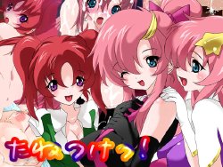 [The Saturn (Qoopie)] Tanetsuke! (Gundam Seed Destiny)