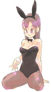 Free Hentai Image Set Gallery: DRAGONBALL Bulma H image set