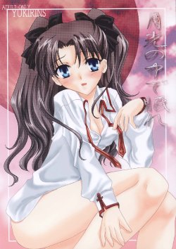 Free Hentai Doujinshi Gallery: [YUKIRINS (Yuunyan)] Gekkou no Naka de Nemure (Fate/stay night) [Digital]