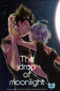 Free Hentai Doujinshi Gallery: (C82) [Hatarakimasen.. (Oniyuri)] The drop of moonlight (Dragon Ball Z) [English] [something or nothing scans]