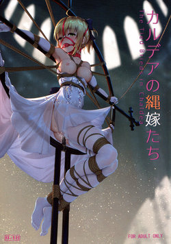 (C95) [Nawairo Sonata (Himitsu)] Chaldea no Nawa Yome-Tachi (Fate/Grand Order)