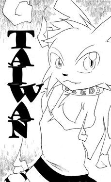 [NP] 台湾 (Chinese)