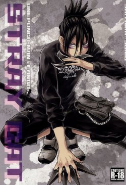 Free Hentai Doujinshi Gallery: (C86) [LITHIUM (Yukimaru)] stray cat (One Punch Man) [English] [Cody Scans]