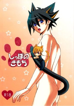 (C78) [Soushinbako @YGO! (Nikami Yukitaka)] Shippo no Kimochi (Yu-Gi-Oh! 5D's)