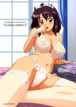 Free Hentai Doujinshi Gallery: (C72) [G-SCAN CORP. (Satou Chagashi)] Le Beau Maitre 2 (Zero no Tsukaima) [Spanish] [Eromonogatari]