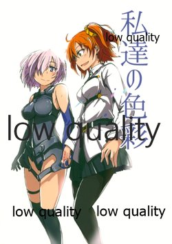 (C92) [nikuya (Be-con)] Watashi-tachi no Shikisai (Fate/Grand Order)