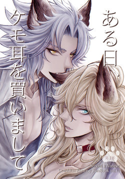 ["S" Shimensoka (Nanagyou Megumu)] Aru Hi, Kemomimi o Kaimashite (Granblue Fantasy) [Digital]