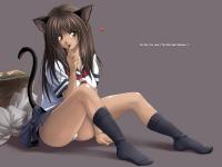 Free Hentai Image Set Gallery: Catgirl Mega-gallery