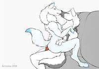 User : Armorine