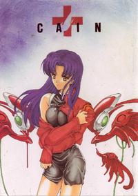 Free Hentai Doujinshi Gallery: [Hanzai Tengoku (Hasei Agana)] CAIN (Neon Genesis Evangelion)