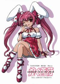 Free Hentai Doujinshi Gallery: (C64) [Soul Company (Houou-tan)] Shining Rabi~en~Rose (Di Gi Charat)