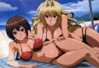 Free Hentai Non-H Gallery: Sexy sekirei
