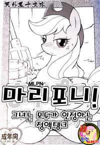 Free Hentai Doujinshi Gallery: [Tengai Aku Juumonji (Akuno Toujou)] Mari Pony! Kanojo wa Minna ga Shitatameru Zaamentanku (My Little Pony- Friendship Is Magic)[korean]