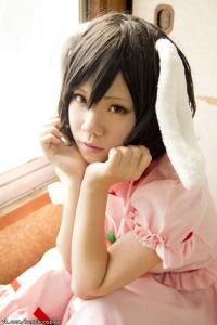 Free Hentai Cosplay Gallery: 東方淫兎祭