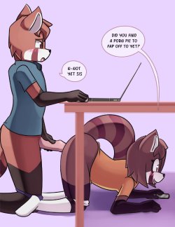 [Negativefox] Red Panda Siblings