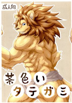 (Fur-st 2) [Soukuu (SKY, Sougo)] Chairoi Tategami [CHINESE] [小紅個人漢化]