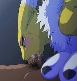 Free Hentai Western Gallery: Playfur Gallery Issue 1