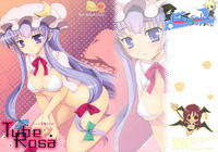 Free Hentai Doujinshi Gallery: (C76) [Kuma-tan Flash! (Hanao)] Tube Rose (Touhou Project) [Chinese]