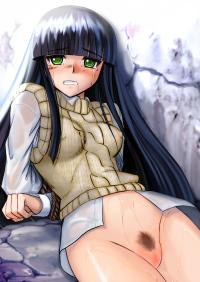 Free Hentai Doujinshi Gallery: (C74) [Youkai Ankake (Pickles)] Tobe nai Tori 3 ~ Kagonotori ~ (Gad Guard) (High Resolution, No text)