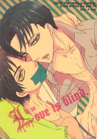 Free Hentai Doujinshi Gallery: (C84) [KSK. (Haruchika)] Love is blind. (Shingeki no Kyojin)
