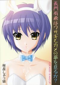 Free Hentai Doujinshi Gallery: (C71) [U.R.C (MOMOYA SHOW-NEKO)] Nagato yuki wa usagi to kame no yume wo miru ka? (The Melancholy of Haruhi Suzumiya) [ENG]