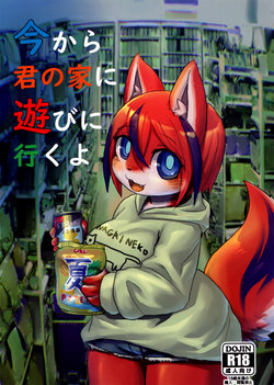 (Kemoket 10) [Poison Squid (Su1ka)] Ima Kara Kimi no Ie Asobi ni Iku yo