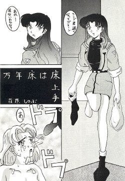 (C49) [Ayashige Dan (Various) Jinrui Hokan Keikaku 2 (Neon Genesis Evangelion) [Incomplete]
