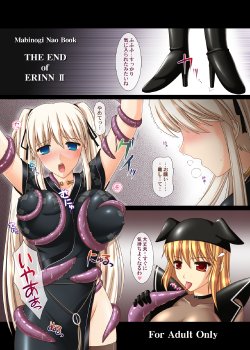 Free Hentai Doujinshi Gallery: [SIMPLE HOUSE (Kafu)] THE END of ERINN II (Mabinogi) [Digital]