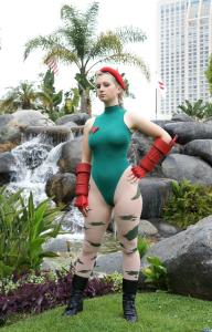 Free Hentai Cosplay Gallery: Cammy