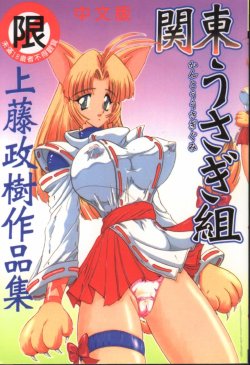 [Kamitou Masaki] Kantou Usagigumi [Chinese]