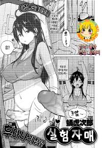 Free Hentai Manga Gallery: [Sanagi Torajiro] Jikken Shimai (COMIC Megastore Alpha 2014-12) [Korean] [Team EDGE]